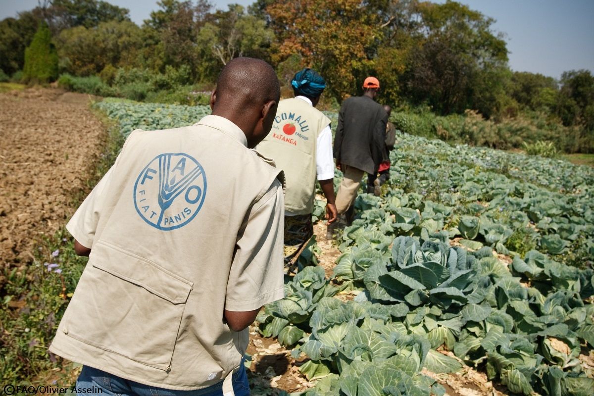 Food and agriculture organization fao. ФАО - Всемирная продовольственная организация -. ФАО ООН. Продовольственная и сельскохозяйственная организация. Продовольственная и сельскохозяйственная организация ООН.