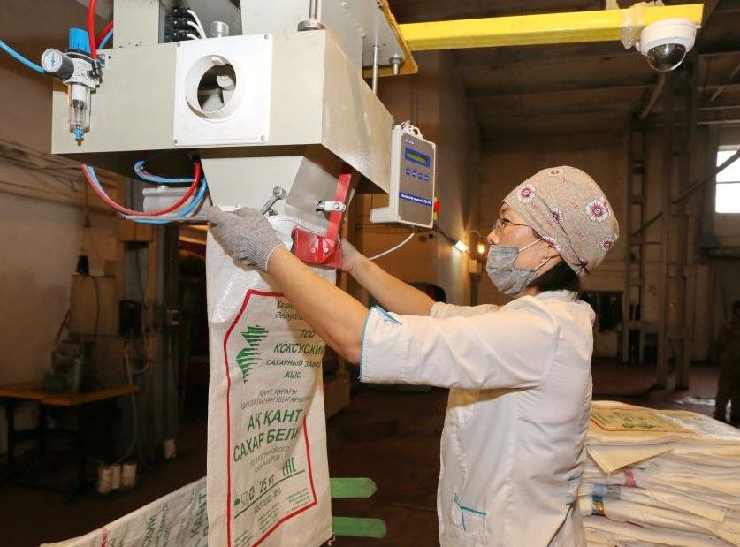 В Алматинской области начали перерабатывать сахарный тростник 656580 - Kapital.kz 
