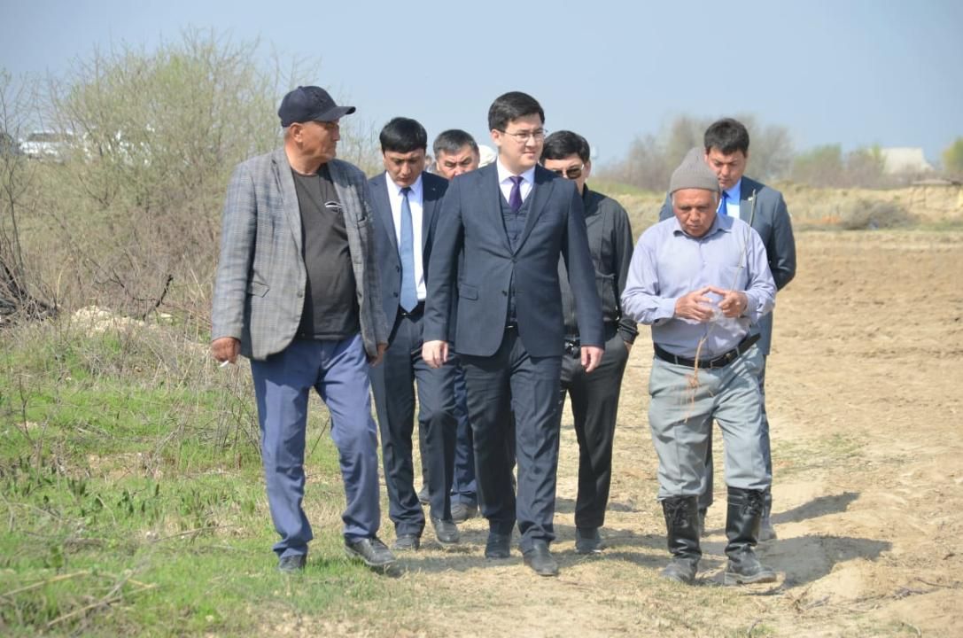 Наладить производство шелка планируют в Туркестанской области  2895470 — Kapital.kz 