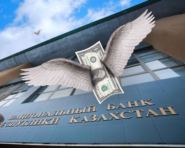 Национальный банк займов. Нацбанк Таджикистана логотип. Нацбанк России футаж логотип.