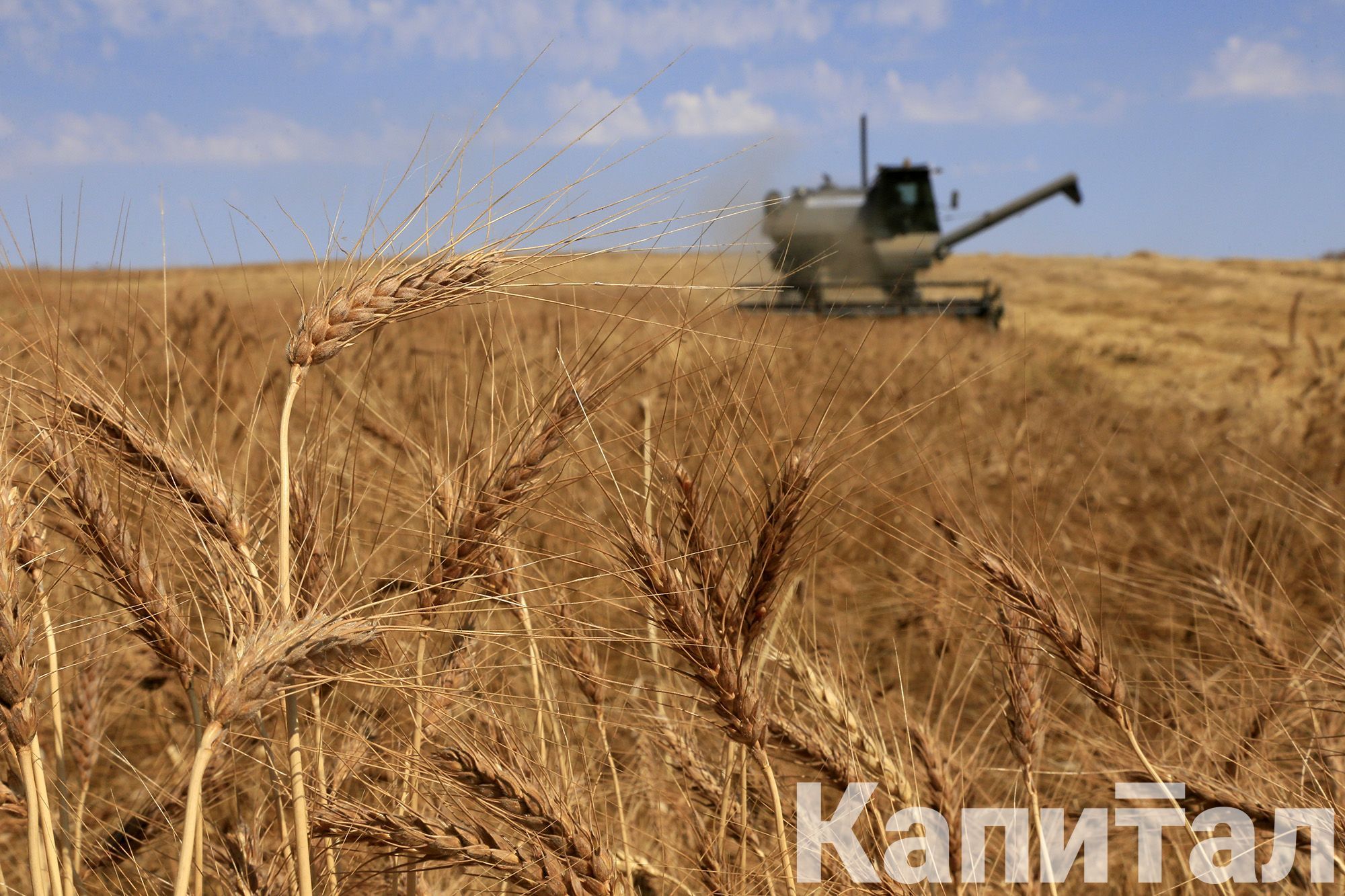 хозяйство в казахстане