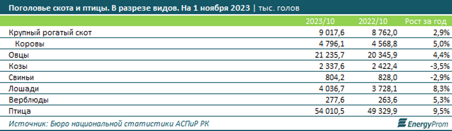 Инвестиции в основной капитал в сфере животноводства достигли 144,2 млрд тенге 2584960 — Kapital.kz 