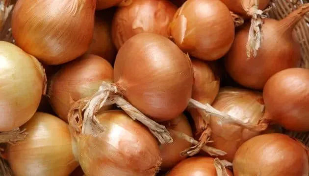 Таджикистан поставит в Казахстан 6 тысяч тонн лука - «Экономика»