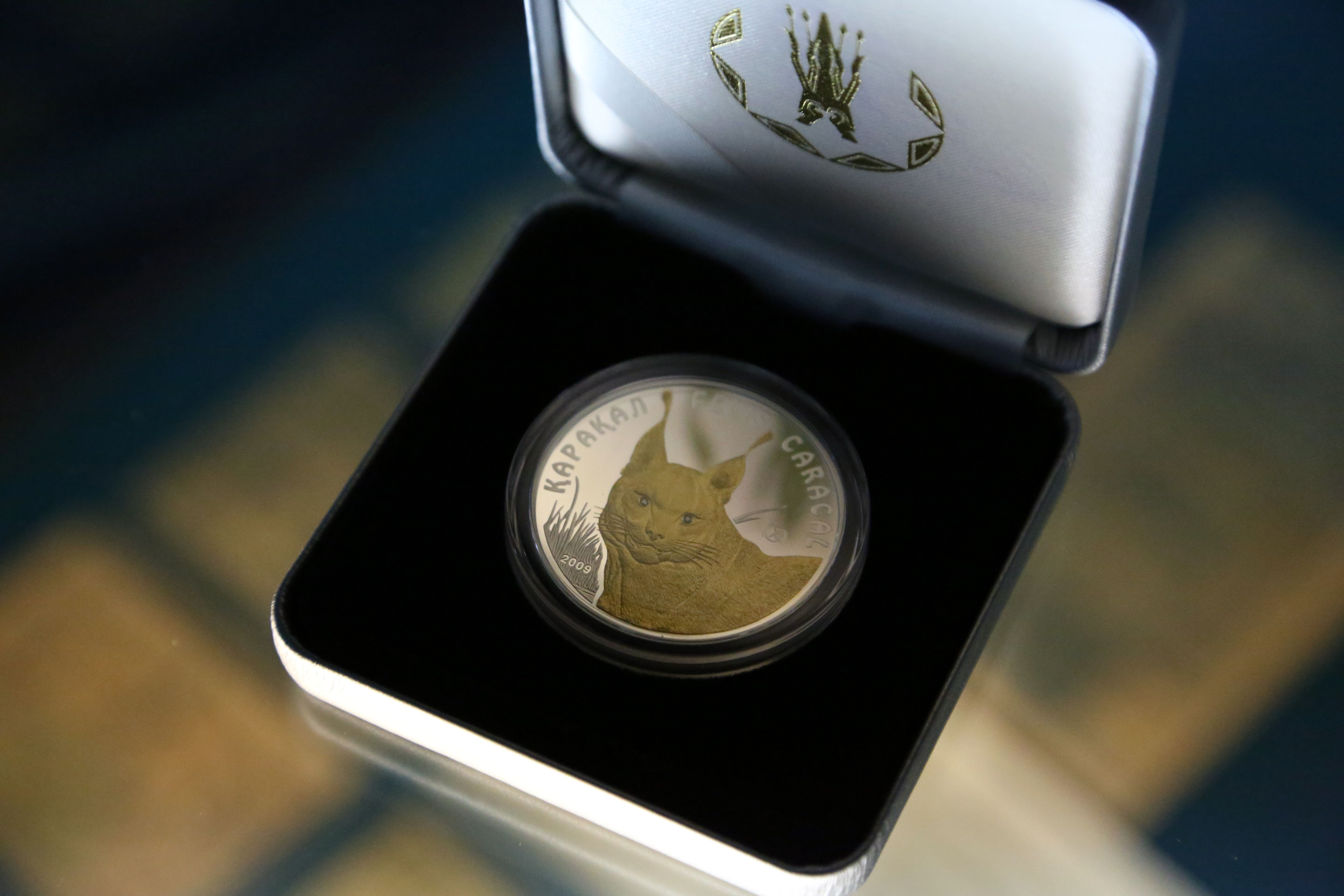 Есть монеты и с бриллиантами. В феврале 2011 года была выпущена монета «Каракул», ее номинал 100 тенге. Монета изготовлена из серебра  925 пробы, с двумя вставками из бриллиантов диаметром до одного миллиметра каждый, качество изготовления – «proof». На оборотной стороне монеты нанесено позолоченное изображение каракала. Каракал – это хищное млекопитающее семейства кошачьих. В Казахстане каракал найден на полуострове Бузачи и Мангышлак. Это очень редкое животное, своеобразная пустынная кошка, единственный представитель одноименного подрода в мировой фауне. В Центральной Азии обитает особый, туркменский подвид. Это животное занесено в «Красную книгу».
