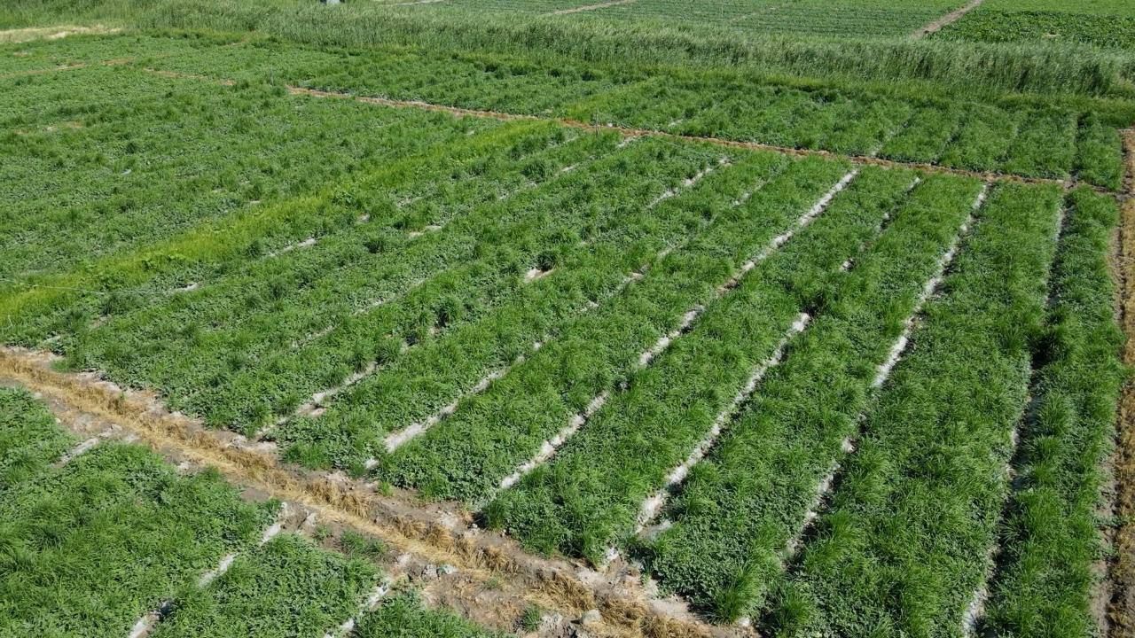 Фото: Министерство водных ресурсов и ирригации РК 