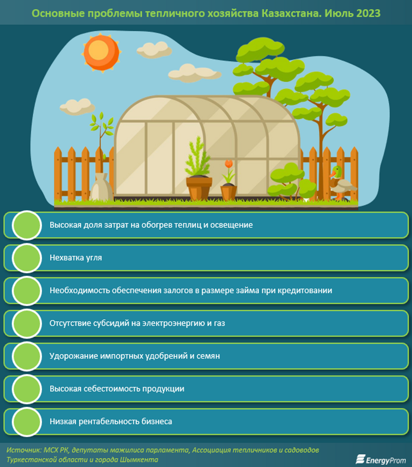 В РК сокращаются площади промышленных и фермерских теплиц 2238851 — Kapital.kz 