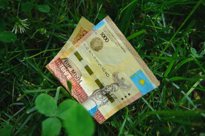 Фермерам облегчат правила получения субсидий - «Экономика»