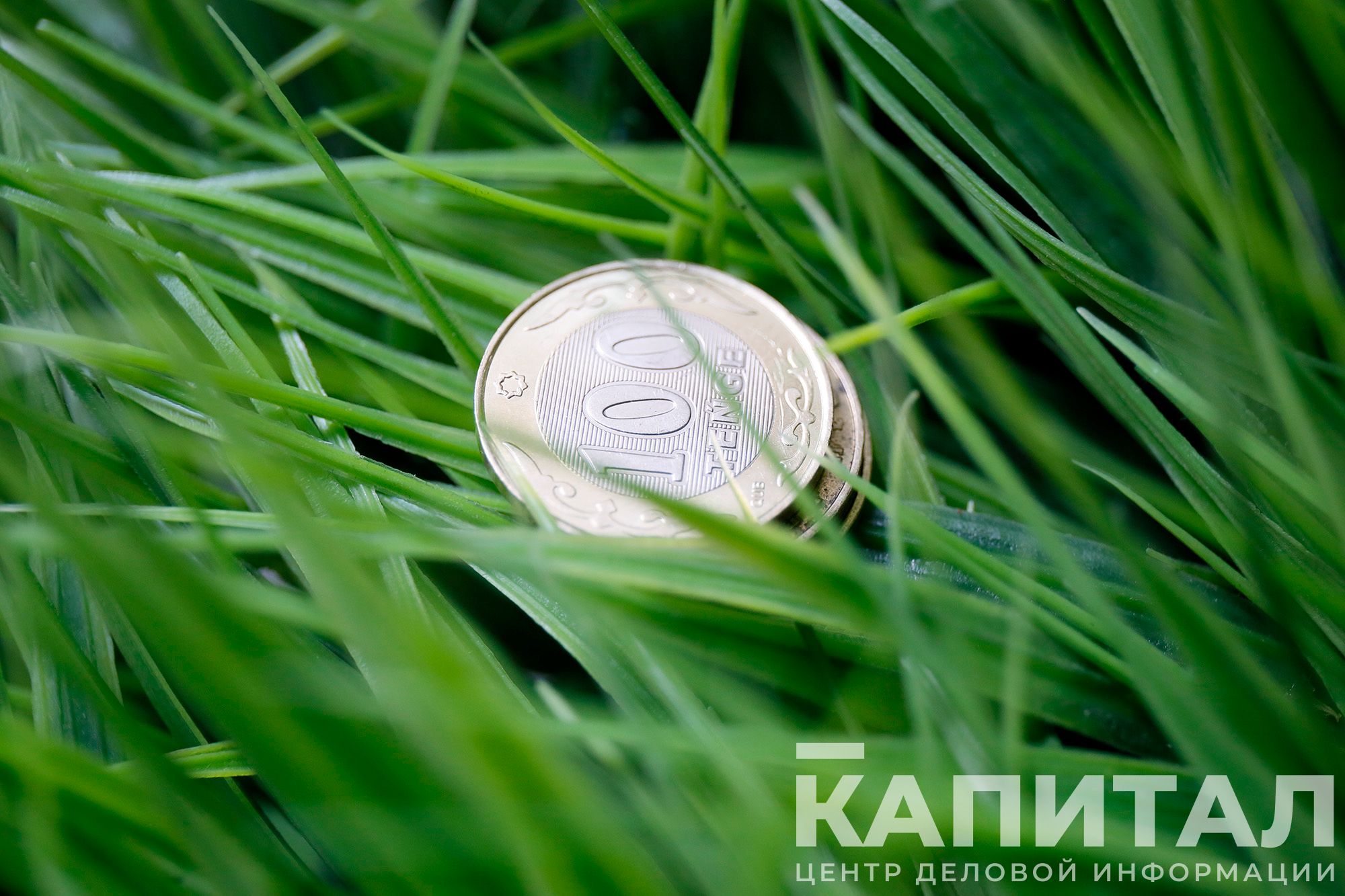 Земли иностранцев. Вя́тская земля. Земельный участок для бизнеса. Земельное право. В казахстане запретили продажа земли иностранцам.