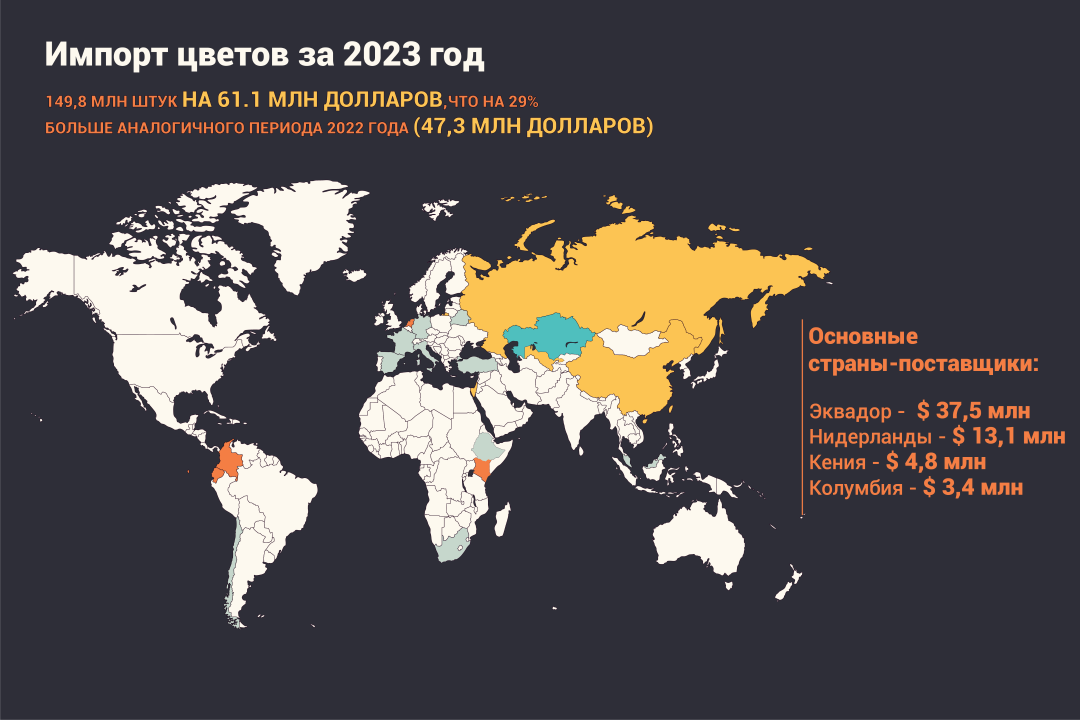 В 2023 году в Казахстан завезли цветы на $61,1 млн 2831672 — Kapital.kz 