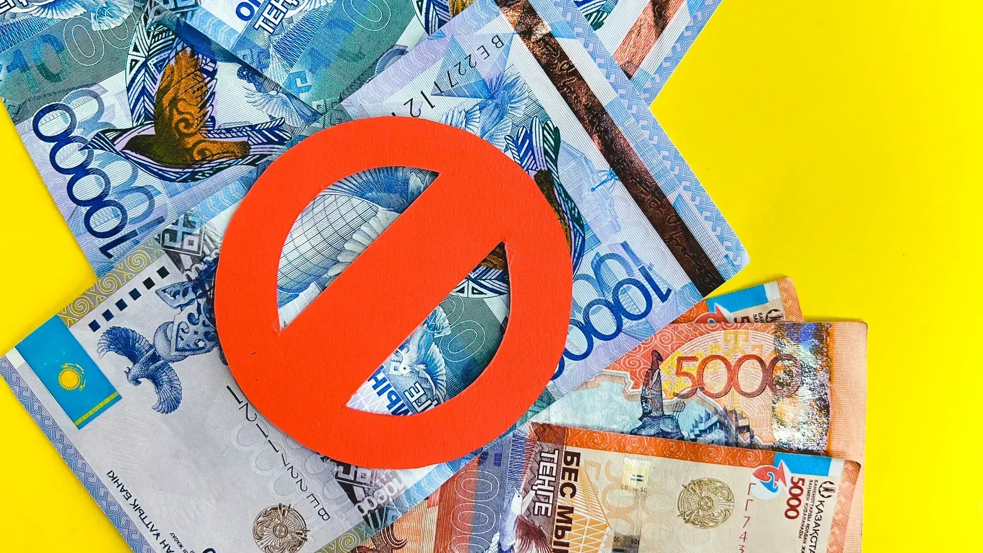 Завершено расследование в отношении должностных лиц природного резервата Ертіс Орманы- Kapital.kz