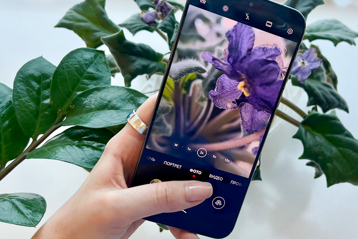 Смартфон huawei pura обзор Смартфон huawei pura обзор
