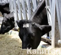 За семь месяцев ВВП Казахстана снизился на 2,9% - «Экономика»