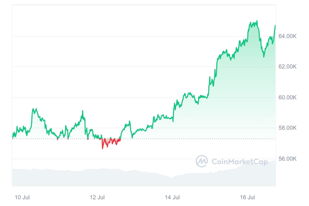 График 2. Стоимость Bitcoin (BTC) за неделю c 10 июля по 17 июля мая 2024 года — Kapital.kz 