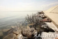 Фото: Руслан Пряников