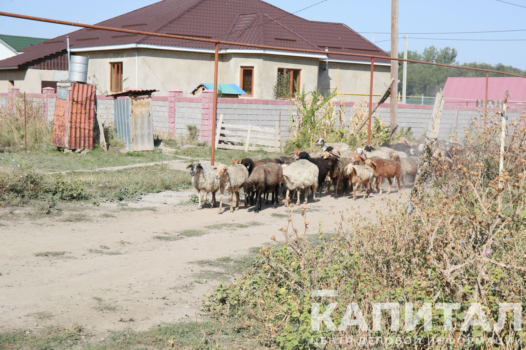 село в казахстане