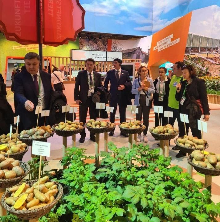 Казахстанские фермеры представили свою продукцию на выставке в Берлине 2710270 — Kapital.kz 