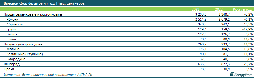 Цены на фрукты в Казахстане - одни из самых высоких в СНГ 2903029 - Kapital.kz 