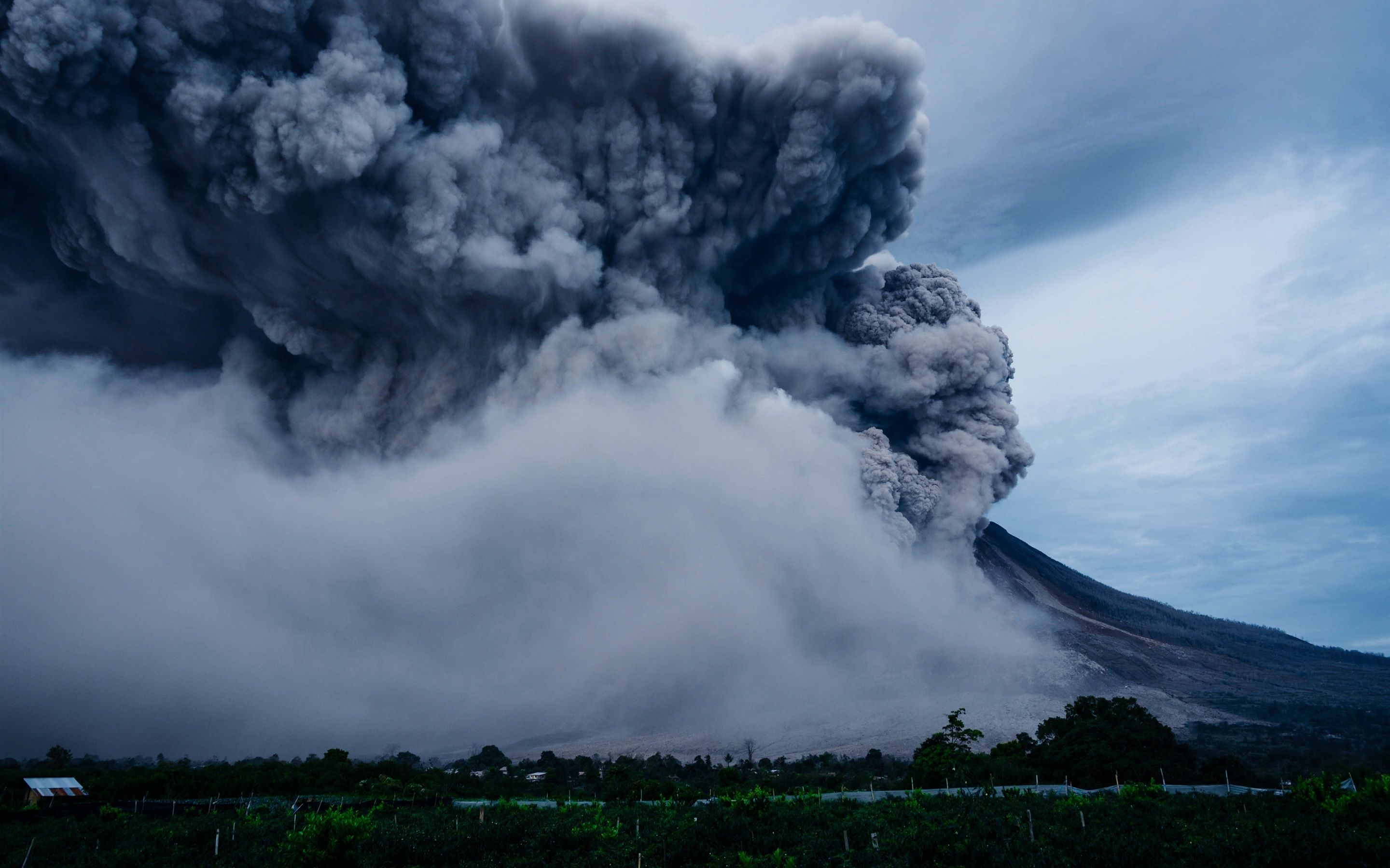 Стихийные бедствия обобщение. Извержение вулкана Шивелуч. Извержение вулкана Тонга. Вулкан Шивелуч на Камчатке. Шивелуч вулкан извержение последнее.