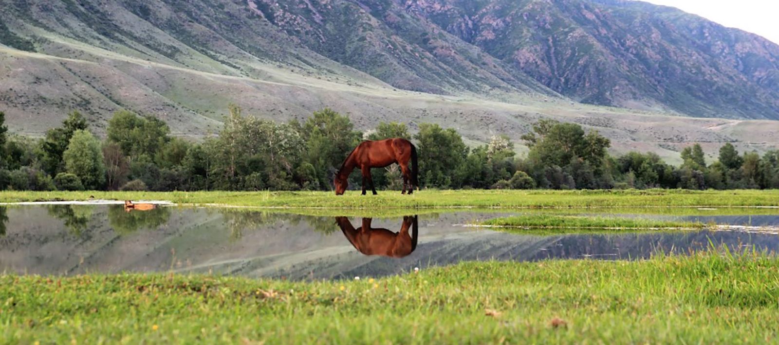 Земля казахстана. Казахские земли. Участок в Казахстане. Казахстан фото с земли.