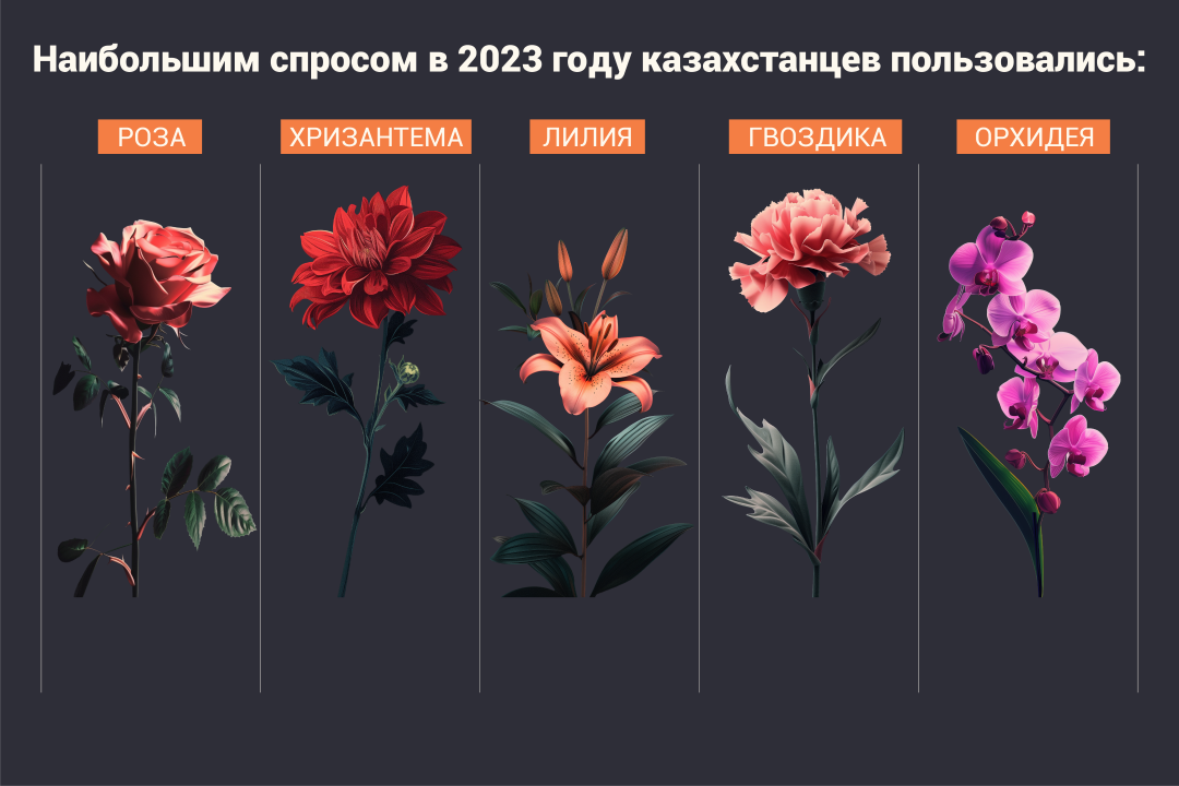 В 2023 году в Казахстан завезли цветы на $61,1 млн 2831668 — Kapital.kz 