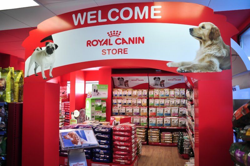 Royal Canin: начало эпохи здорового питания для животных 2941790 — Kapital.kz 