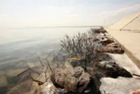 Фото: Руслан Пряников